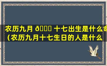 农历九月 🐘 十七出生是什么命（农历九月十七生日的人是什么 🦋 星座）